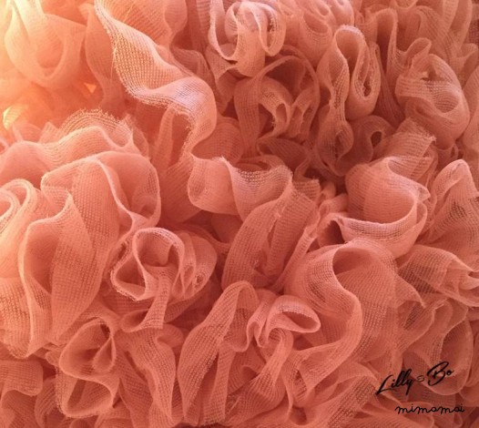Amelie ~ Rose Water Mini Tutu