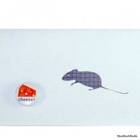 Mouse And Cheese