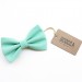 Papillon verde menta per bambino, paggetto, cotone
