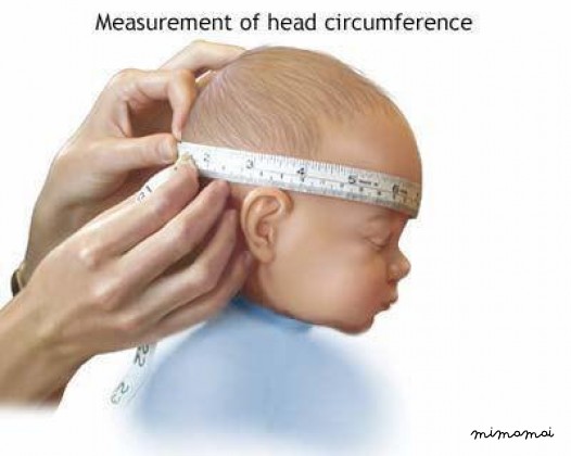 Baby merino wool helmet
