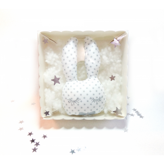 pacco-le-lapin-trop-beau.jpg
