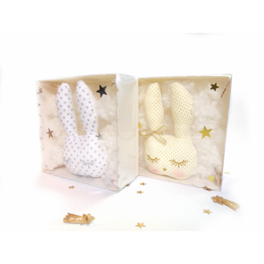 pacco-le-lapin-trop-ccddbeau.jpg