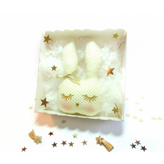 pacco-le-lapin-trop-beau.jpg