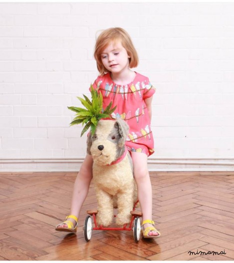 Girls Georgina Dress in Pink Budgies