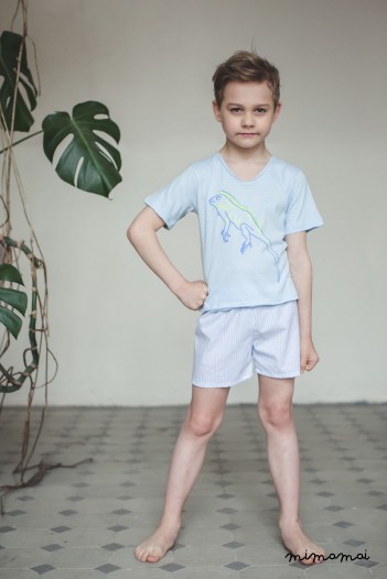 Leon Stylish shorts and v neck t-shirt