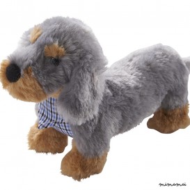 Dog Zamperl
