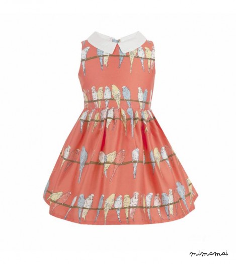Girls Penny Dress in Pink Budgies