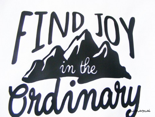 Wall Banner "Find Joy in the Ordinary"
