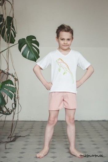 Leon Stylish shorts and v neck t-shirt