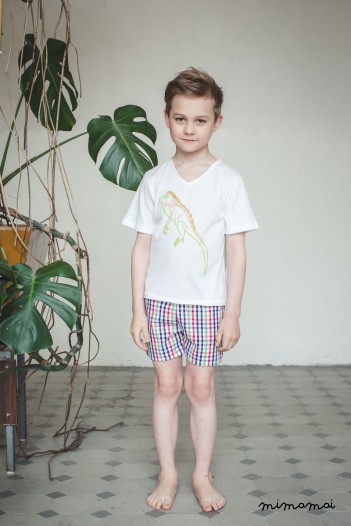 Leon Stylish shorts and v neck t-shirt