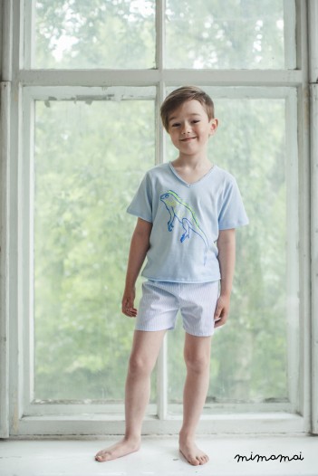 Leon Stylish shorts and v neck t-shirt