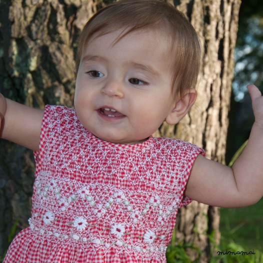 Gingham dress Pale Swallowtail