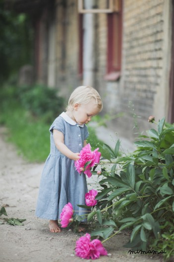 BLUEBERRY DRESS
