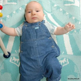 Personalizzato coperta, coperta personalizzata, vivaio di circo, personalizzati bambino