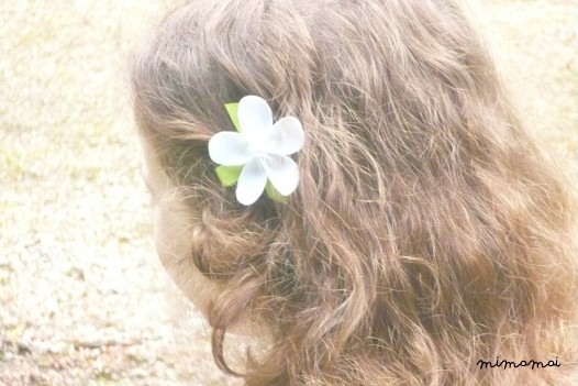 Hair Clip Set Of 3 - Eva