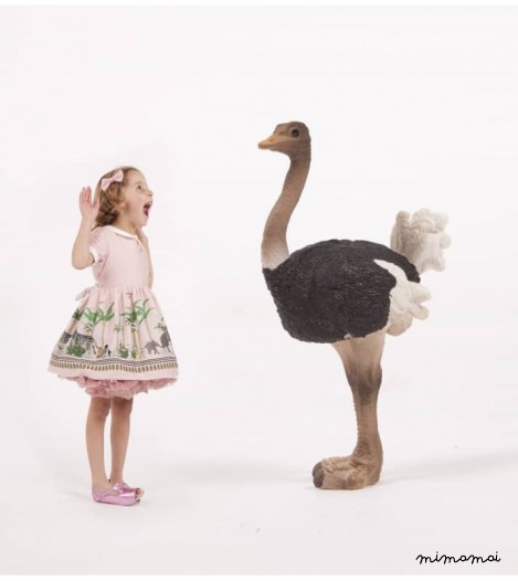 Penny Dress, The Zoo, Pink