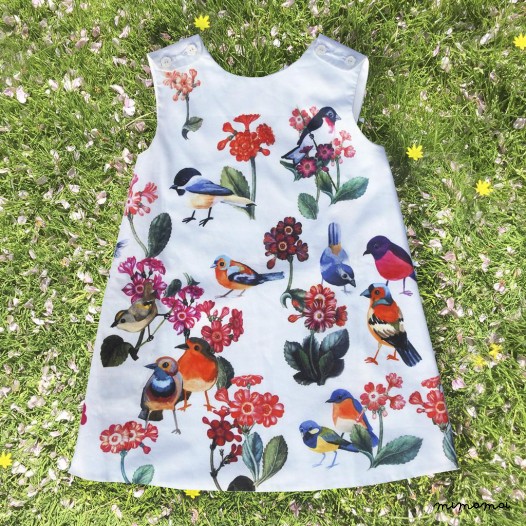 The X-Dress: The Missing Seeds